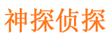 平乐市侦探公司